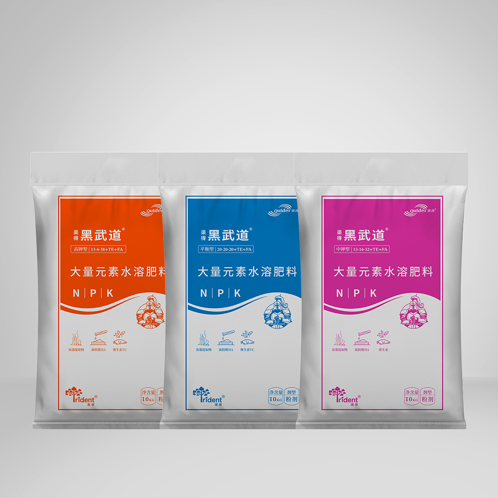 渠得黑武道®
